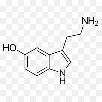 吲哚化学合成5-羟色胺有机合成全合成快乐脑