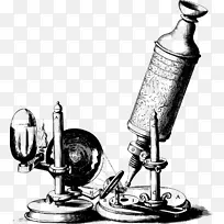 17世纪显微光学显微镜-显微镜