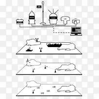 魁北克省游艇技术纸海运自动识别系统.自动雷达标绘仪