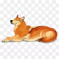 红狐狗越轨艺术画-狗