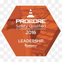 品牌ProCore字体-合规安全公司