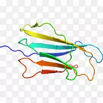 线点生物剪贴画线