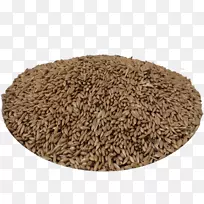 燕麦谷类发芽小麦全麦