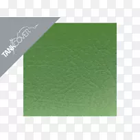 矩形绿色材料角