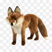 红狐狗鼻子-狐狸