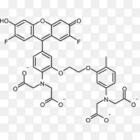 氟-4钙成像化学物质钙诱导的钙释放