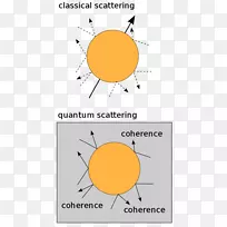 量子测量和退相干：模型和现象学量子力学量子退相干量子计算后量子密码学