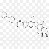 盐酸伊立替康Ⅰ型拓扑异构酶喜树碱拓扑异构酶抑制剂