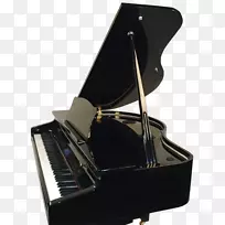 数字钢琴，电动钢琴，大钢琴，立式钢琴-钢琴