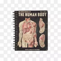 笔记本文具人体解剖-笔记本电脑