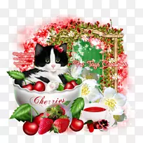 草莓小猫帆布梅丽莎道恩-草莓