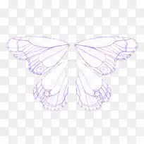 毛茸茸的蝴蝶-家蚕蝴蝶对称-蝴蝶