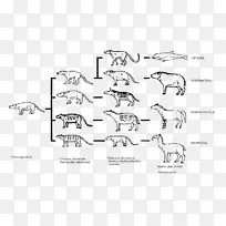 食肉犀牛，鹿进化-鹿