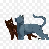 黑猫小猫蓝星的预言虎猫
