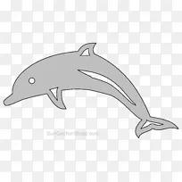 普通宽吻海豚图库溪粗齿海豚短喙普通海豚白嘴海豚