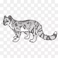 胡须野猫狮子红狐猫