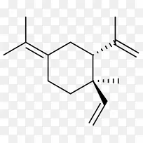 榄香烯化合物有机酸酐戊二酸γ-干扰素γ释放试验