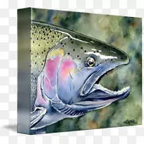 大马哈鱼09777鳟鱼绘画-绘画