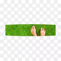 麦草草坪草甸绿人造草皮-谢谢绿色