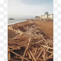 浮木-海材
