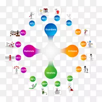迈尔斯-布里格斯型人格类型INFP ESFP-INFJ