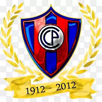 Cerro Porte o 2013 Copa Libertadors足球2017年Torneo Clausura Asunción-fa社区盾牌