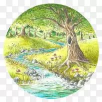 PIN湿地水资源生态系统树-罗斯和记黄埔基金会