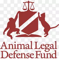 动物法律辩护基金法律学院新墨西哥州动物法律大学法学院学生