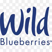 野蓝莓节蓝莓派食物-蓝莓
