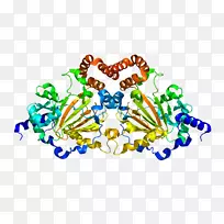 jmjd 6酶脱乙基酶赖氨酸羟化酶羟化