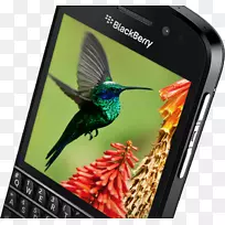智能手机黑莓Q10黑莓Z10黑莓飞跃黑莓曲线-智能手机