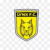 Lynx F.C.布兰特里镇F.C.Europa F.C.直布罗陀-林克斯