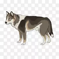 萨鲁士狼狗西伯利亚哈士奇东西伯利亚拉伊卡捷克斯洛伐克狼狗西伯利亚拉伊卡