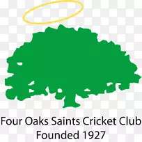 四橡树，伯明翰四橡树圣徒板球俱乐部球衣队-打板球