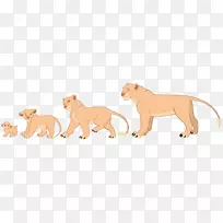 狮子、马、猫、狗、、狮子