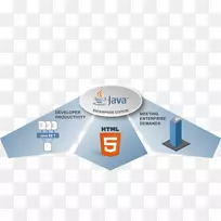 Java平台，企业版html商业和生产力软件计算机软件-Metalor技术sa