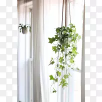 窗帘花卉设计花盆窗