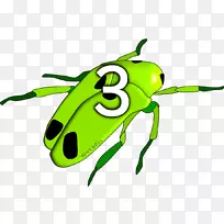 小兽字母表甲虫发音草书甲虫
