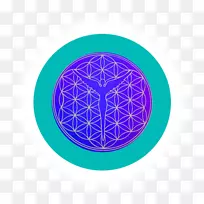 替代保健服务-精神怪圈-克里斯蒂亚莱斯