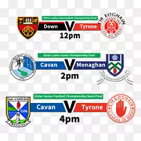 Tyrone Gaa全爱尔兰高级足球锦标赛Ulster高级足球锦标赛Errigal Ciarán GAC-Cavan县议会