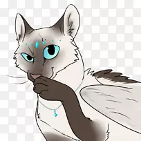小胡子猫家猫