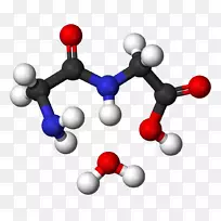 有机化学分子肽键缩合反应-Huy