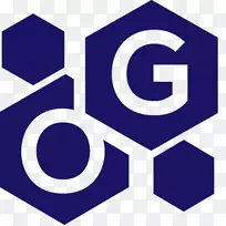 OSGRIP技术专业网络服务标志品牌-Divya saketham