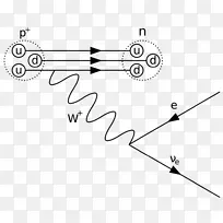 费曼图量子力学物理中微子