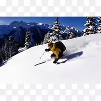 北欧滑雪极限运动滑雪