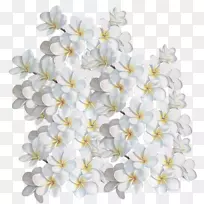 花瓣切花设计生日花