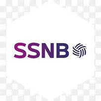 Snb-Sportservice Noord-Brabant LinkedIn作业ijpelaar afacere-六角徽标