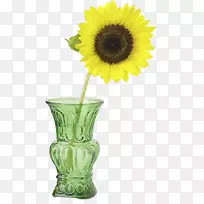 普通向日葵花瓶三朵向日葵切花多年生向日葵花瓶