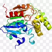 线点生物剪贴画线