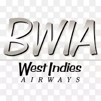 皮亚尔科国际机场BWIA西印度航空公司英国西印度群岛航空公司飞机制服-Piarco